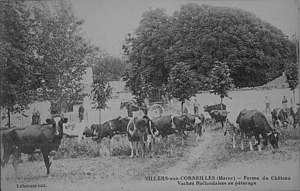 Habiter à Villiers-aux-Corneilles