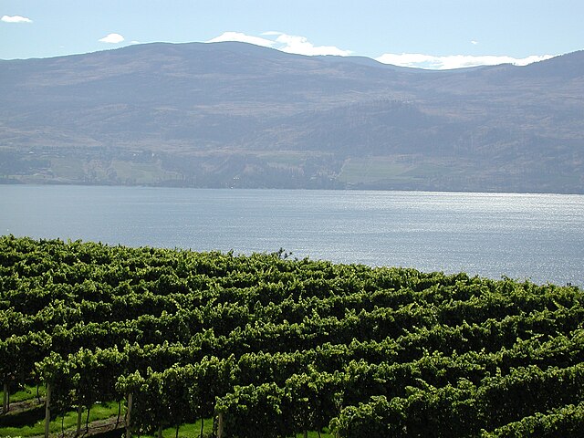 The Okanagan region has a climate suitable for vineyards.