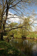 Wümme im Frühling