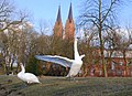 Um cisne estendendo as asas, no fundo o Catedral