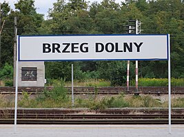 Brzeg Dolny