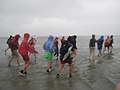 Wadlopen near Pieterburen (Friesland Netherlands) (2775287644).jpg