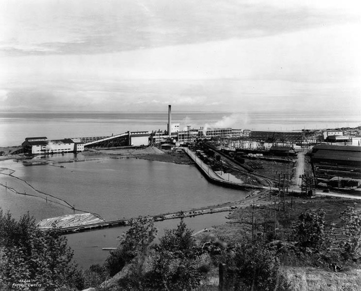 File:Washington Pulp and Paper Co view from hill, Port Angeles, 1923 (CURTIS 595).jpeg