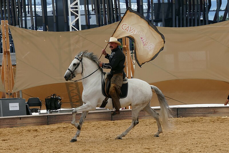 File:Western style riding at the Cavalluna Show.jpg