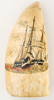 Scrimshaw Engravings and carvings done in bone or ivory, created by sailors