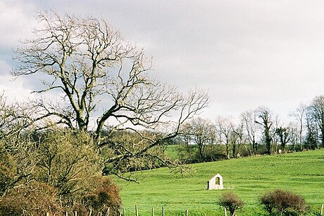 Winterborne Farringdon