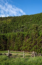 Wooden fence inside Caldeira, Graciosa Island, Azores, Portugal