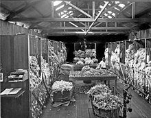 Wool classing room, Queensland, Australia, circa 1926 Wool classing room, c1926.jpg