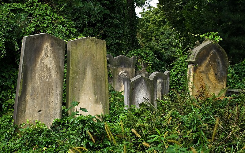 File:Wroclaw Old Jewish Cemetery IMGP7160.jpg