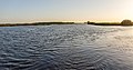 Zicht vanaf het water op de Alde Feanen van het It Fryske Gea. Waardevol natuurgebied in Friesland.