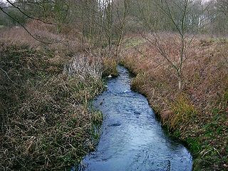 <span class="mw-page-title-main">Ziemenbach</span> River in Germany