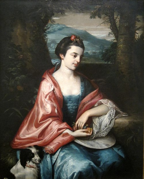 Anne Allen a 1763 portrait of John Penn's wife Anne by Benjamin West, now housed in the Cincinnati Art Museum