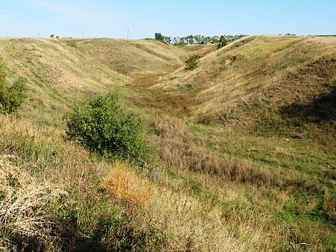 Склоны лощины. Овраг балка Лощина. Овражно-балочный рельеф Нижегородской области. Ложбина и Лощина. Курская область овражно балочный рельеф.