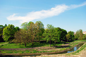 Ботанічний сад, ділянка на березі річки Сапалаївки