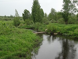 Вблизи деревни Сергеихи