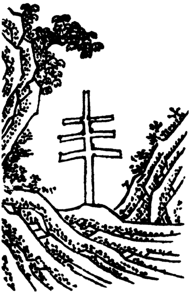 File:白玉芝2.png