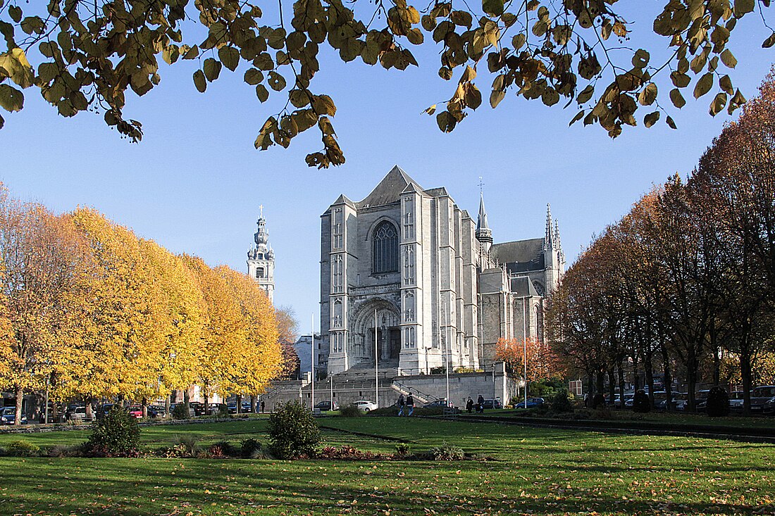 Sint-Waltrudiskerk (Bergen)