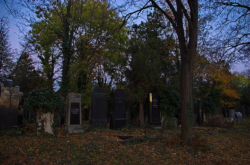 File:173 - Wien Zentralfriedhof 2015 (22597980374).jpg