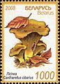 stamp ob Belarus