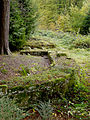 Kleinkastell Robern am Odenwaldlimes