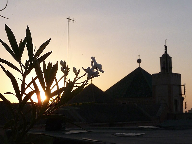 File:2010-06-18 - Marrakesch - Abenstimmung - Von der Dachterrasse Riad Ineslisa - panoramio.jpg