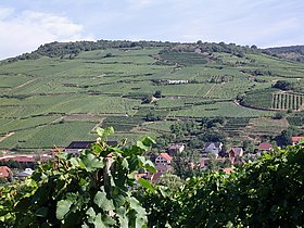 Illustrativt billede af artiklen Alsace-grand-cru