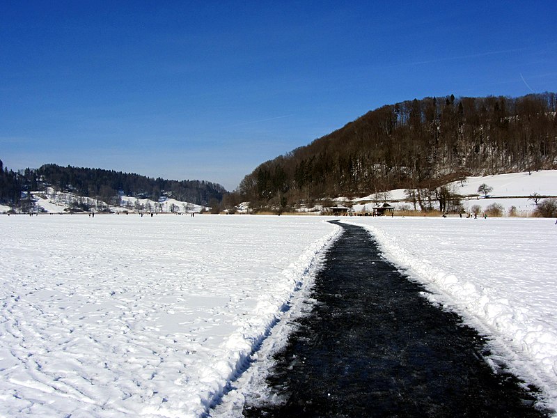 File:2012 'Seegfrörni' - Türlersee - Hausen am Albis 2012-02-18 12-48-47 (SX230).JPG