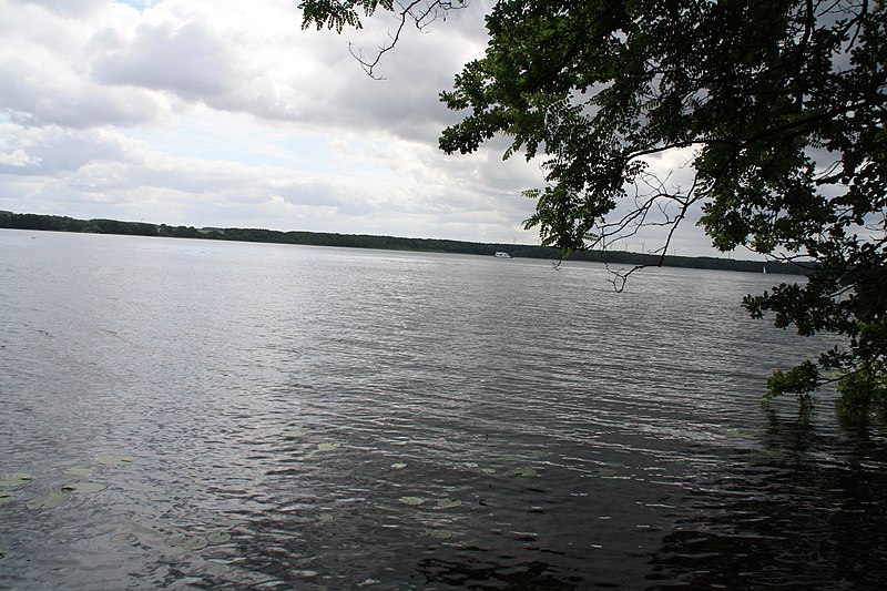 File:2013-06-30 Scharmützelsee 01.jpg