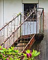 * Nomination Rusty stairs and pink flowers in Notojima, Ishikawa, Japan --MathieuMD 09:02, 4 August 2016 (UTC) * Promotion Unfortunately, the focus should have been the other way around with sharp flowers in the foreground and softened geometric forms in the back. The tangle on the guard rail is not interesting enough to be the main subject. W.carter 09:44, 6 August 2016 (UTC) I disagree: actually, it was the stair that I found interesting, not really the flowers. But I can understand you don't share my point. ;-) --MathieuMD 16:02, 6 August 2016 (UTC) No problem, then make it more about the stair and tangle and perhaps crop away some of the flowers since they are distracting from it. See suggestion note. I think that would work. W.carter 19:01, 6 August 2016 (UTC)  Done Thanks. I guess you are right, indeed. MathieuMD 19:29, 6 August 2016 (UTC) Nice! QI. W.carter 22:52, 6 August 2016 (UTC)