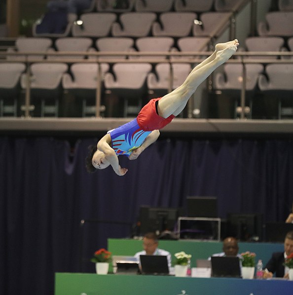 File:2019-06-27 1st FIG Artistic Gymnastics JWCH Men's All-around competition Subdivision 3 Floor exercise (Martin Rulsch) 221.jpg