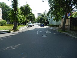 Lindenaustraße in Dresden