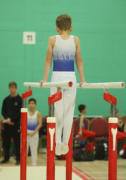 File:2023-05-14 Challenge U8, U9 and U10 competition Parallel bars (Martin Rulsch) 360.jpg