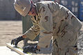 30th Naval Construction Regiment deployed to Afghanistan DVIDS201369.jpg