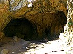 A Home For Bats - panoramio.jpg