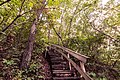 A Long Way Up - John A. Latsch State Park, Minnesota (37277713411).jpg