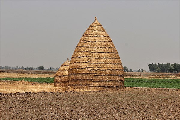 A traditional method of storing wheat hay in Punjab.