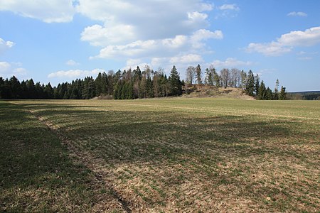 Abschnittsbefestigung Bürg 01