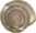 Aegopis verticillus ( Ferussac, 1822) (6684424059) - front of shell.png