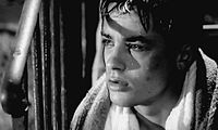 Alain Delon dans Rocco et ses frères de Luchino Visconti (1960).