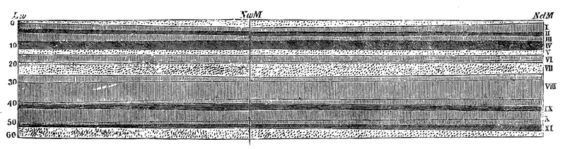 File:Albumdernatuur57 0588.png