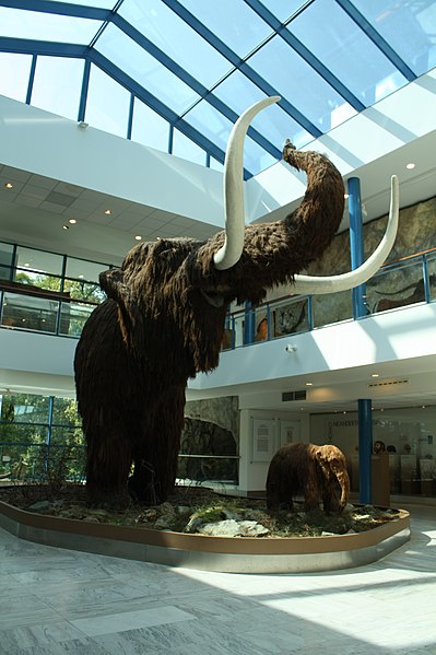 File:Anthropos - mamut.JPG