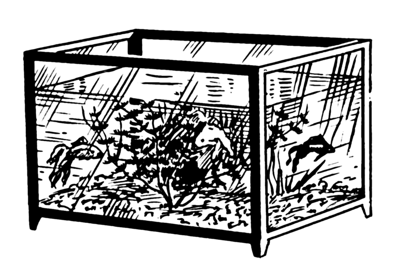 File:Aquarium 1 (PSF).png