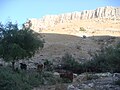 Arbel Cliff as seen from Ein Arbel.