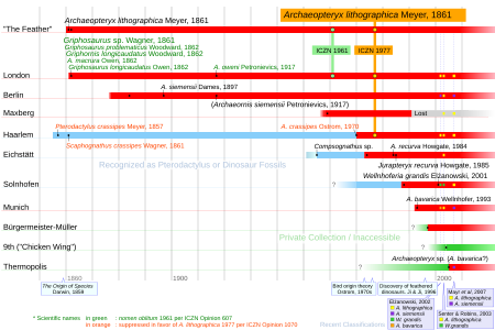 ไฟล์:Archaeopteryx_timeline.svg