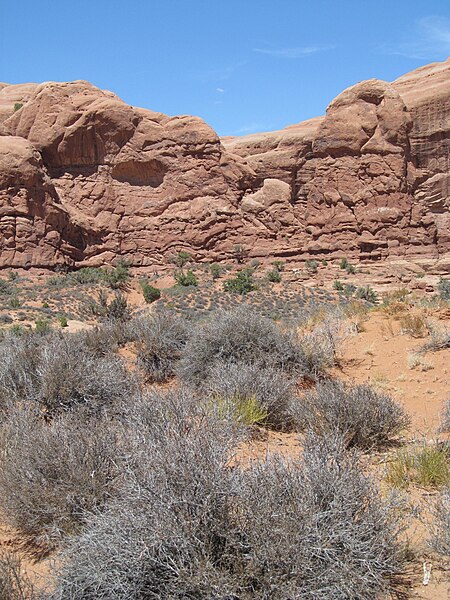 File:Arches National Park - Utah - 7680199416.jpg