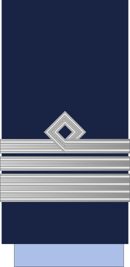 File:Argentina-AirForce-OF-3.svg