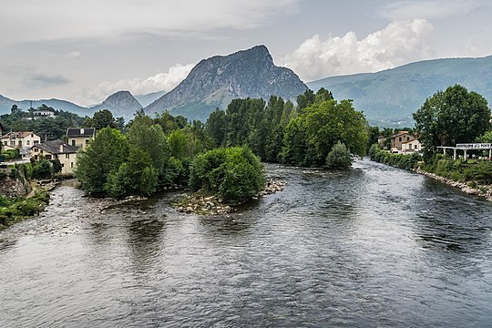 L'Ariège et son île fluviale à Tarascon-sur-Ariège.