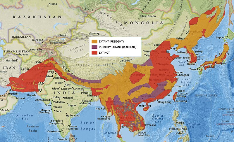 File:Asian black bear distribution.jpg