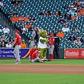 File:Opening Night at Minute Maid Park, 2006 - Flickr - AlphaTangoBravo -  Adam Baker.jpg - Wikipedia