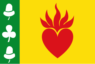 File:Augustinusga vlag.svg